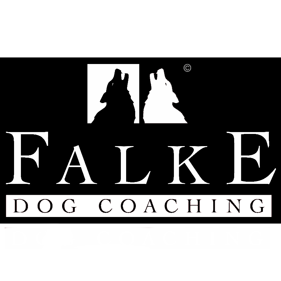 Falke Dog Coaching Logo